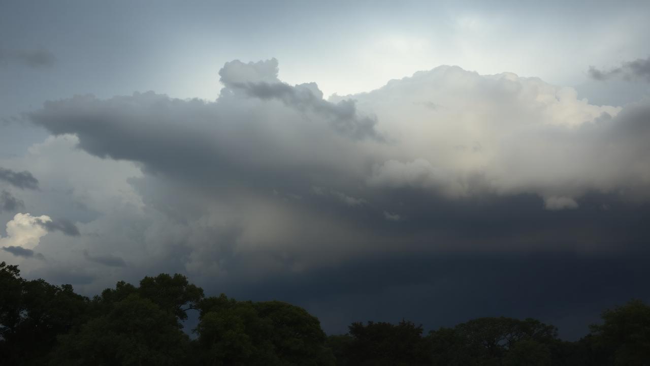 Hurricane Tree Prep: A Upstate South Carolina Homeowner's Checklist